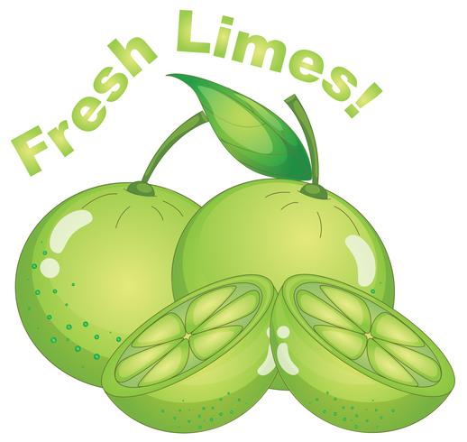 Limes frescos em fundo branco vetor