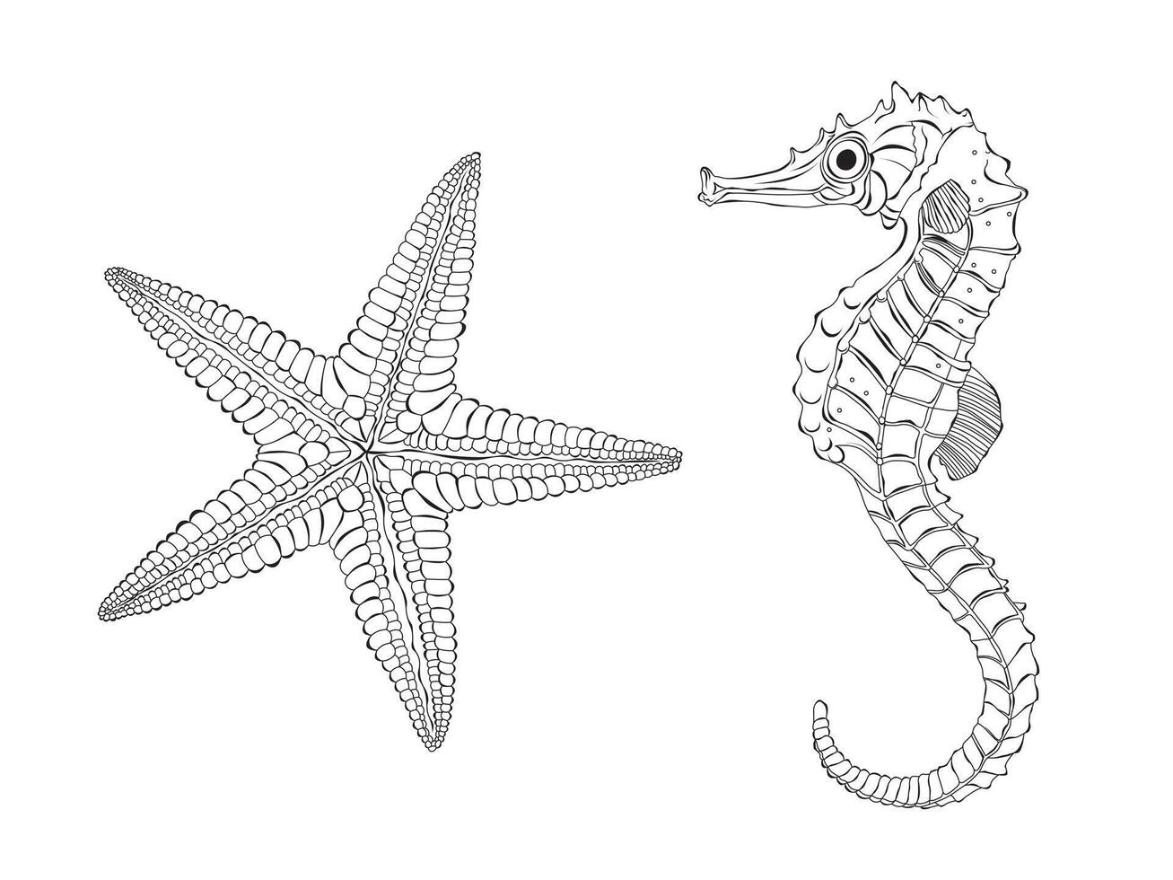 cavalo marinho e estrela do Mar vetor ilustração definir. isolado em branco fundo. rabisco esboço para coloração livro, Projeto logotipo, tecido, papel de parede