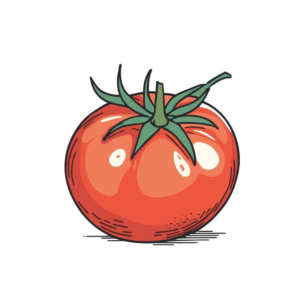 tomate grampo arte vetor ilustração