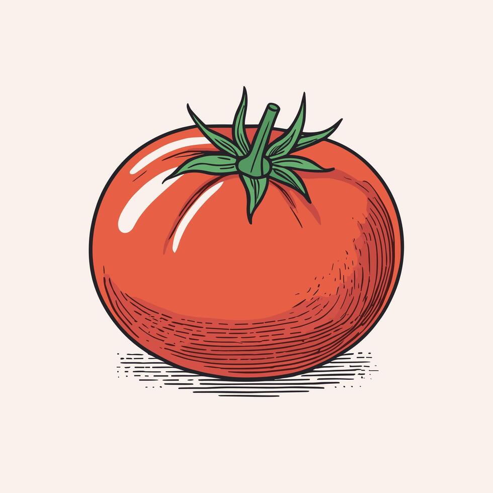 tomate grampo arte vetor ilustração