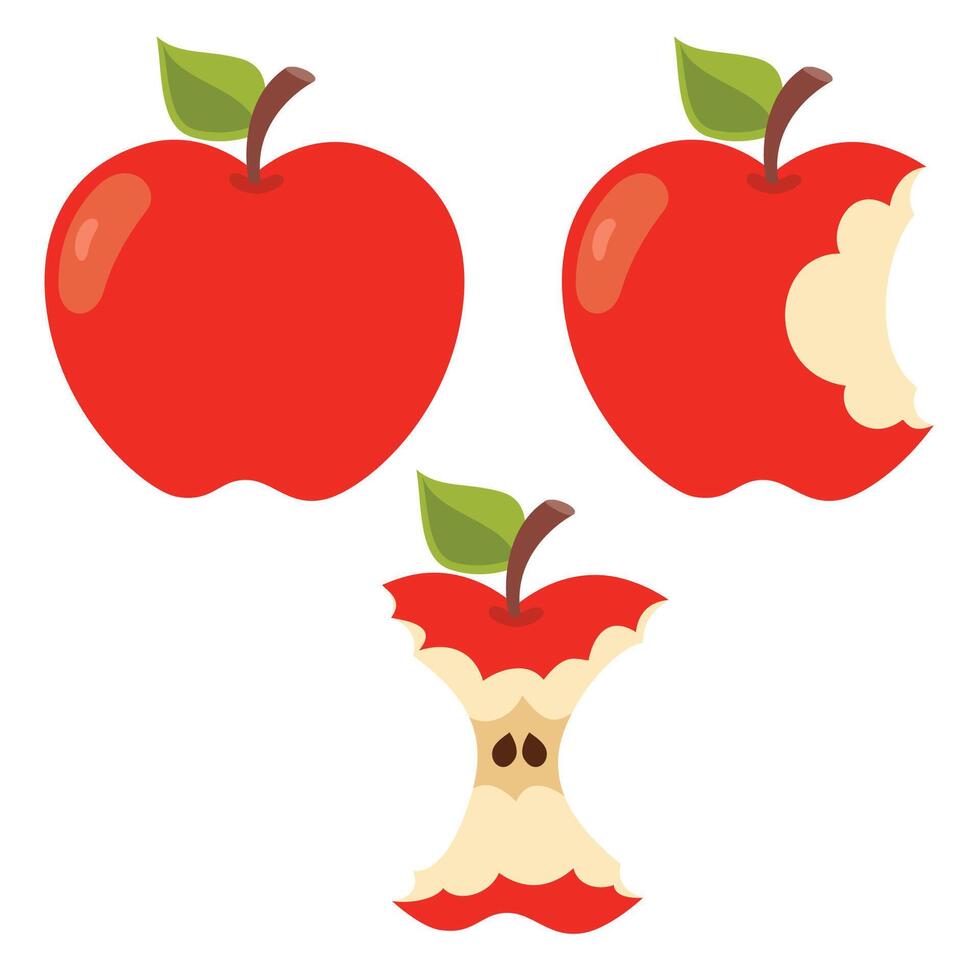 ilustração do vários maçã formas vetor