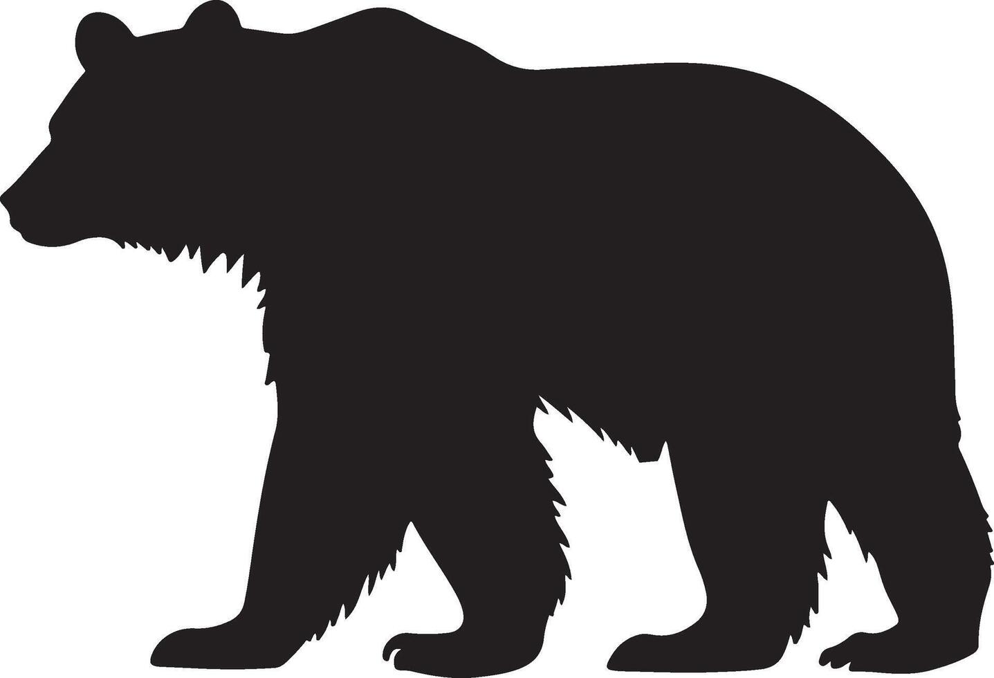 polar Urso silhueta vetor ilustração branco fundo