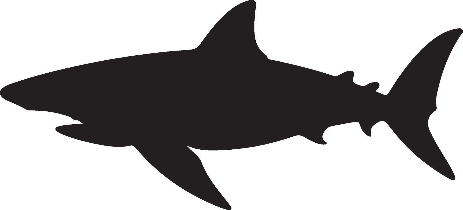 Tubarão silhueta vetor ilustração branco fundo
