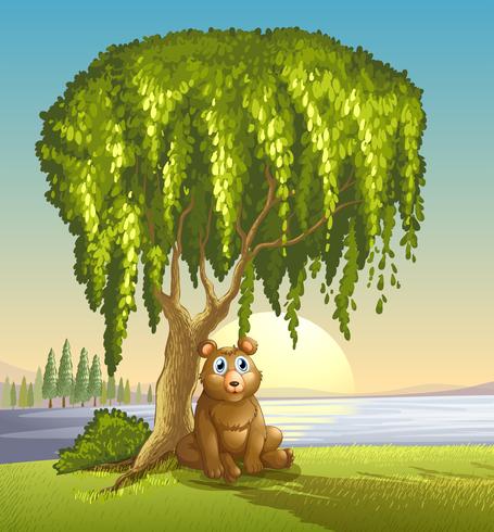 Um urso sob uma grande árvore vetor