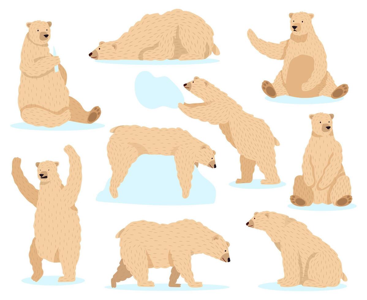 polar branco urso. ártico neve urso, fofa norte Urso personagem, Bravo pele animais selvagens mamífero personagem isolado vetor ilustração ícones conjunto