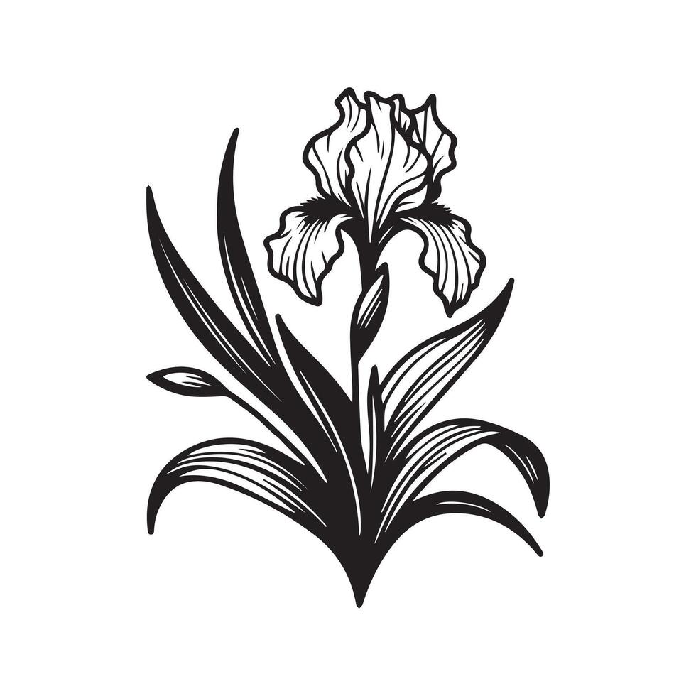 ai gerado íris flor silhueta Preto e branco ilustração vetor