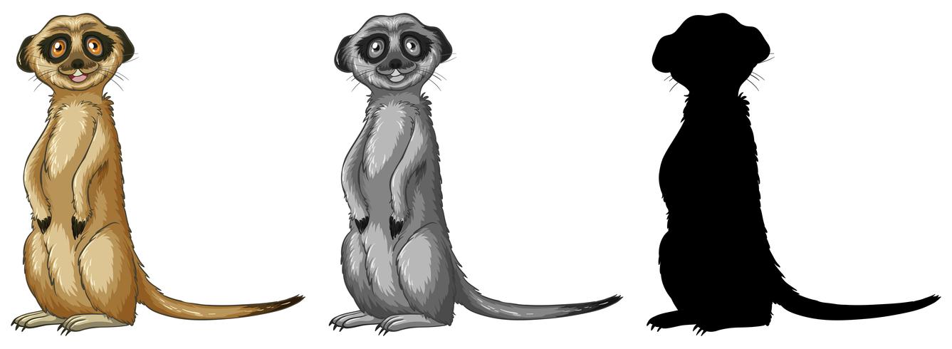 Conjunto de personagem de desenho animado meerkat vetor