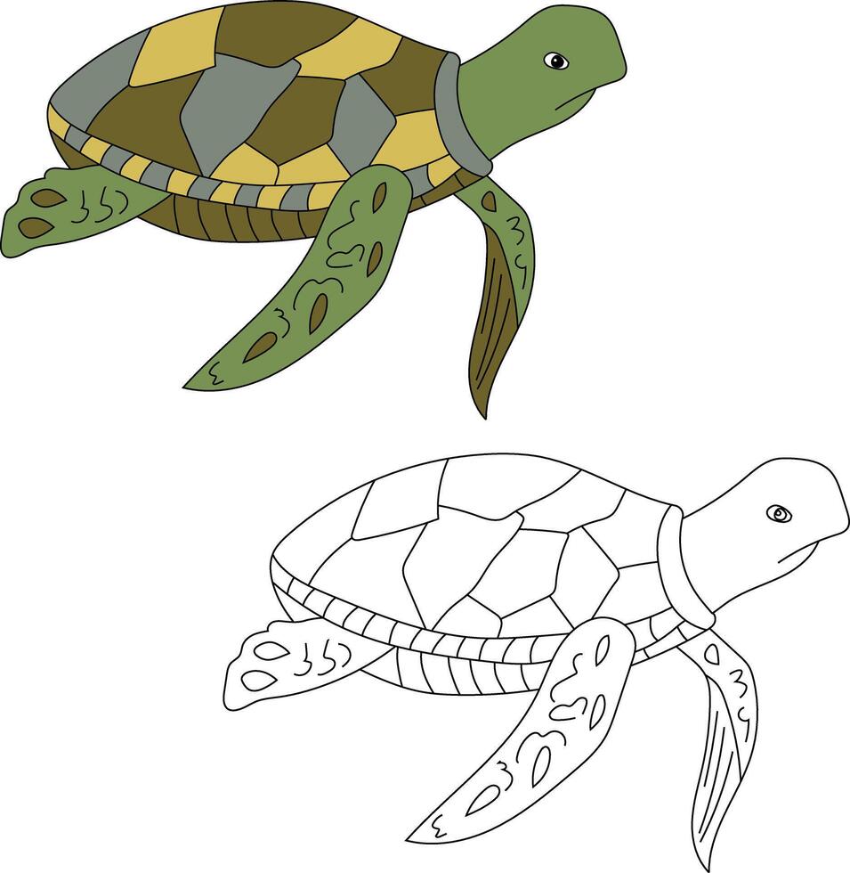 mar tartaruga clipart definir. esboço e colorida tartarugas vetor