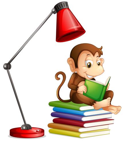 Macaco lendo livro sobre fundo branco vetor