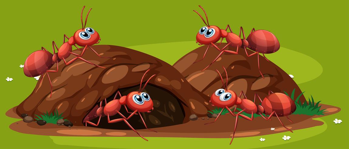 Um grupo de formigas trabalhando vetor