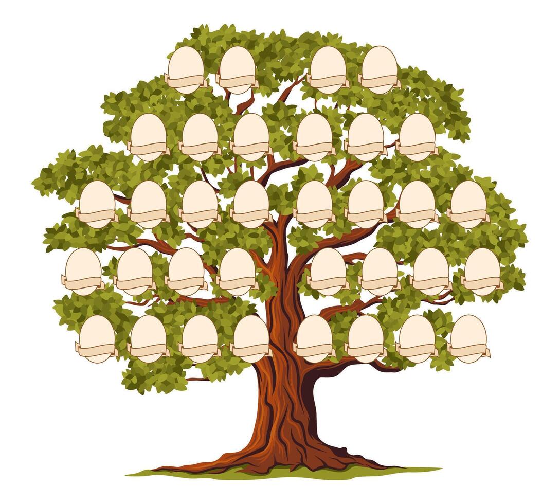 Genealogia família árvore, ancestralidade ramo quadros vetor