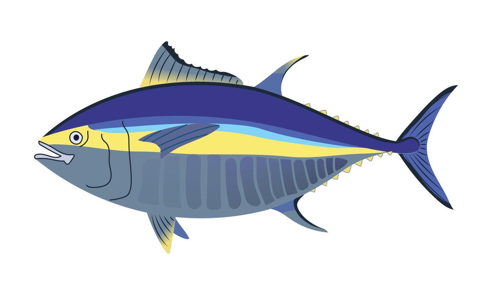 albacora atum peixe. vetor