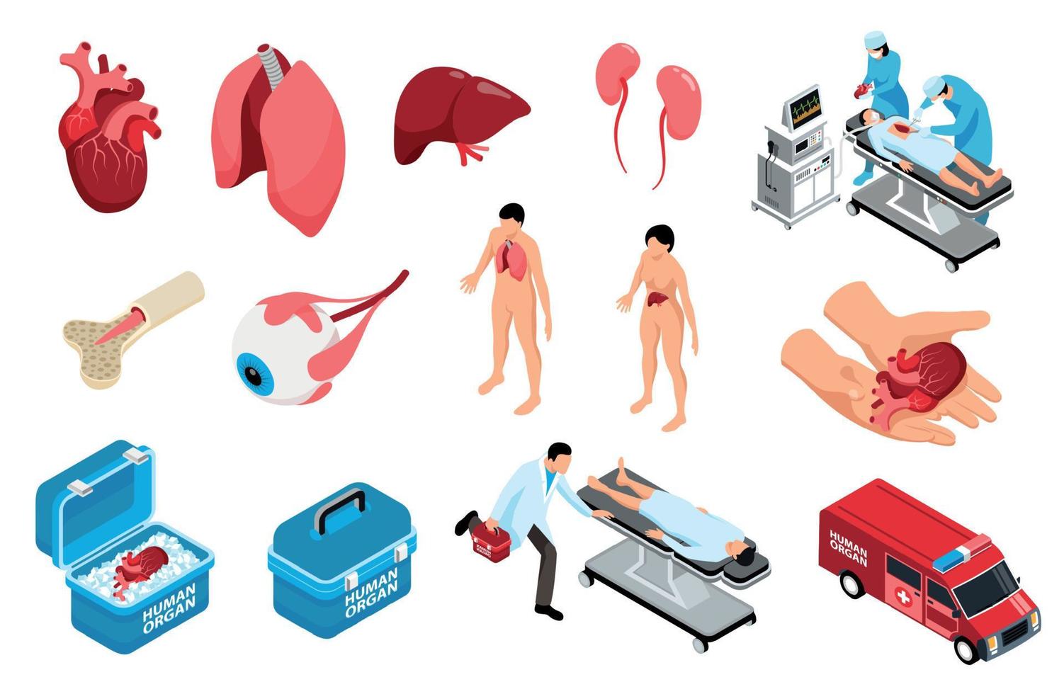 conjunto de ícones isométricos de transplante vetor