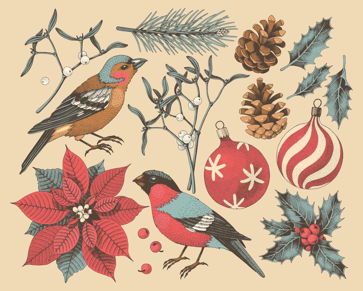 grande vetor conjunto do mão desenhado Natal inverno flora e fauna, vintage estilo