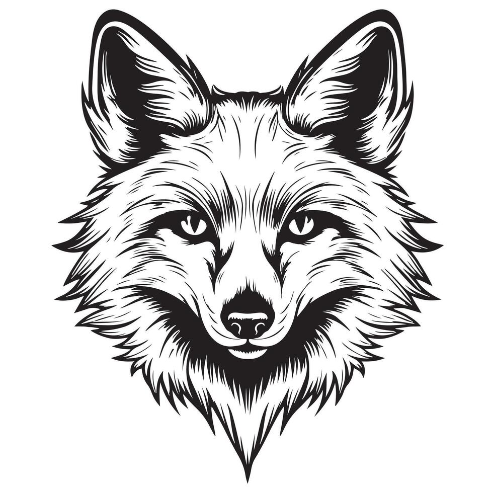 Raposa. gráfico, esboço, Preto e branco, desenhado à mão retrato do uma raposas cabeça em uma branco fundo. vetor