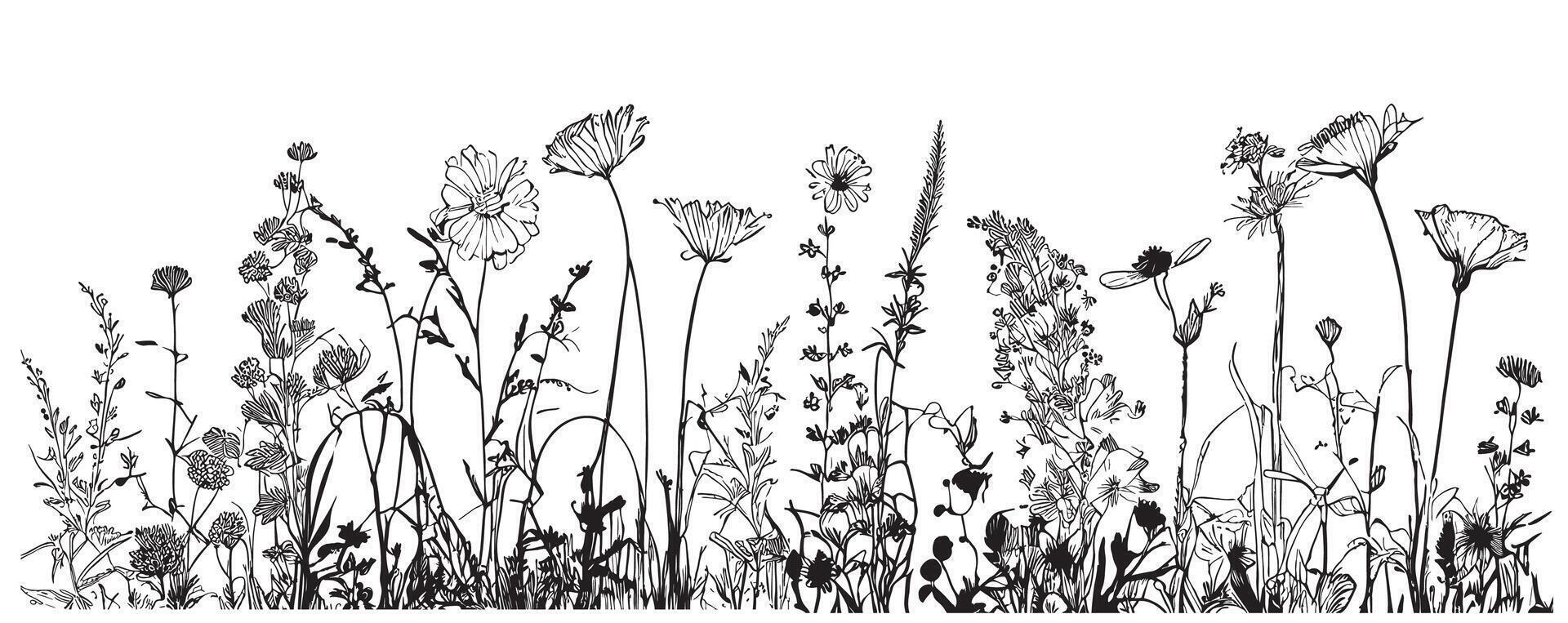selvagem flores campo fronteira esboço mão desenhado dentro rabisco estilo vetor ilustração
