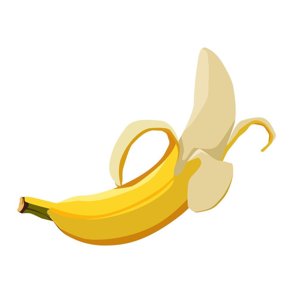 tropical saudável amarelo descascado banana com descasca isolado em branco fundo. vetor fruta ilustração dentro plano estilo. verão de praia clipart para Projeto do cartão, bandeira, folheto, oferta, poster, ícones