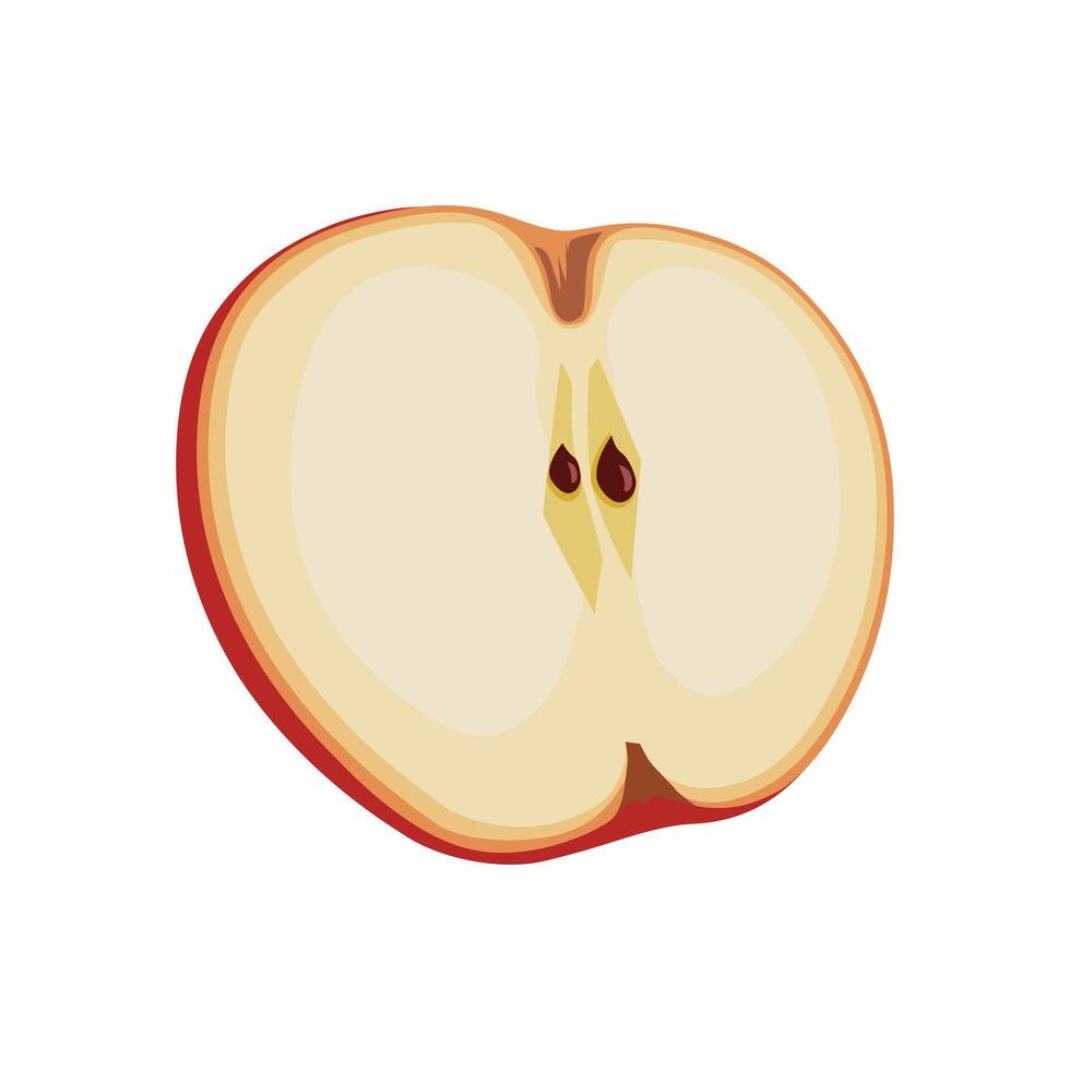 suculento e saudável fino fatia do vermelho maçã isolado em branco fundo. vetor fatiado fruta ilustração dentro plano estilo. verão clipart para Projeto do cartão, bandeira, folheto, oferta, poster, ícones