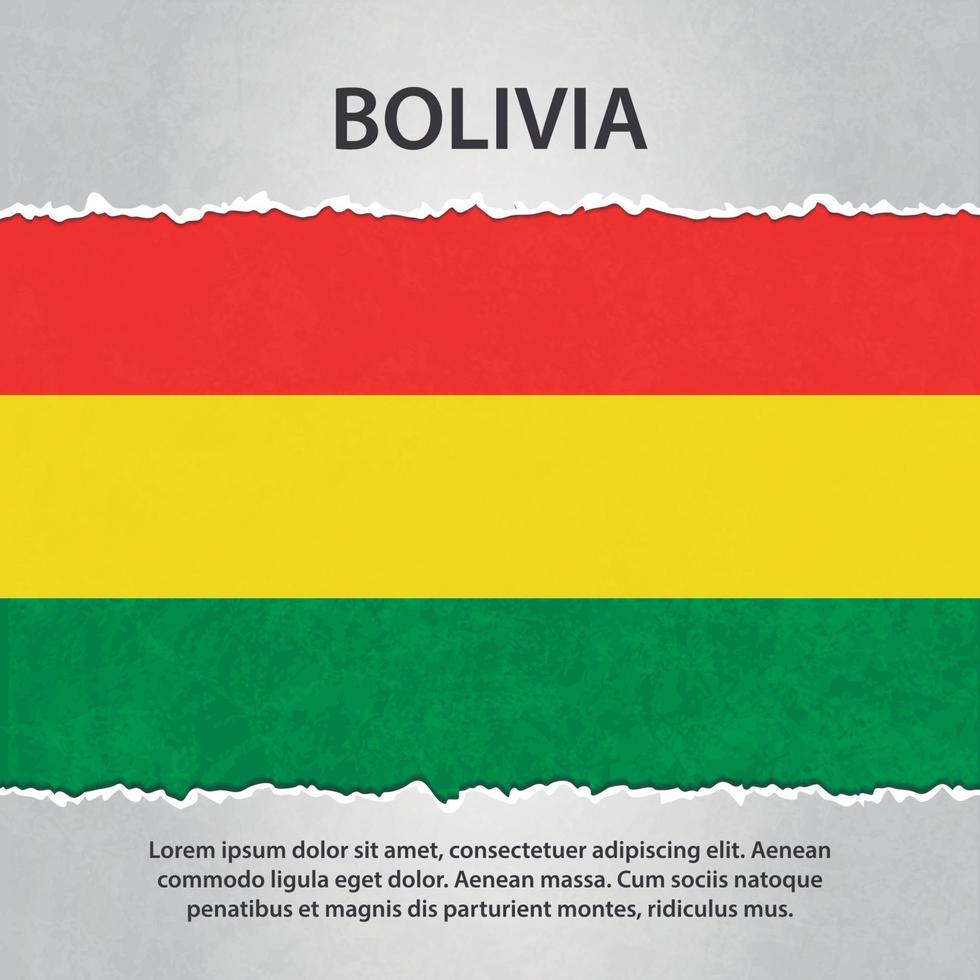 bandeira da bolívia em papel rasgado vetor