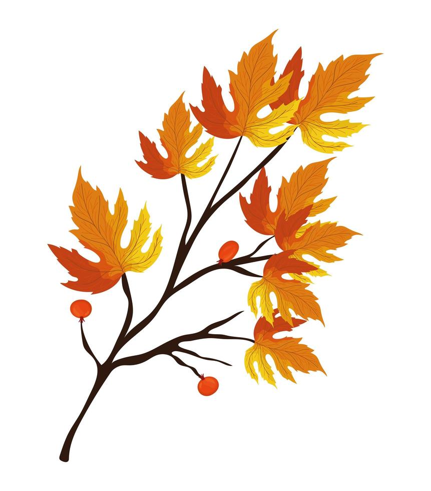 desenho de folhas de outono vetor
