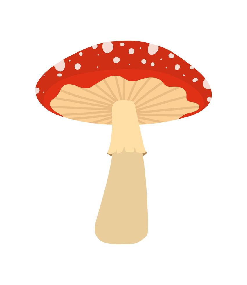 design de cogumelo vermelho vetor