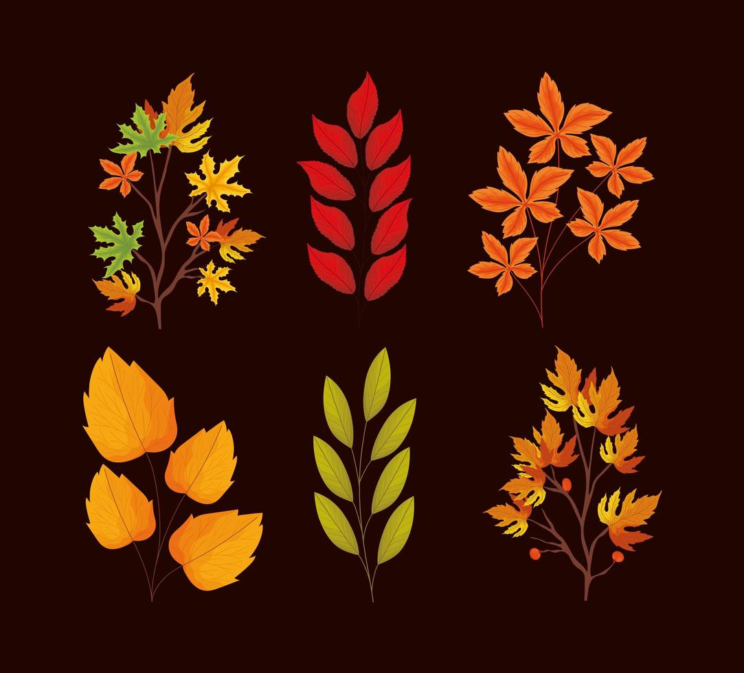 seis folhas de outono vetor