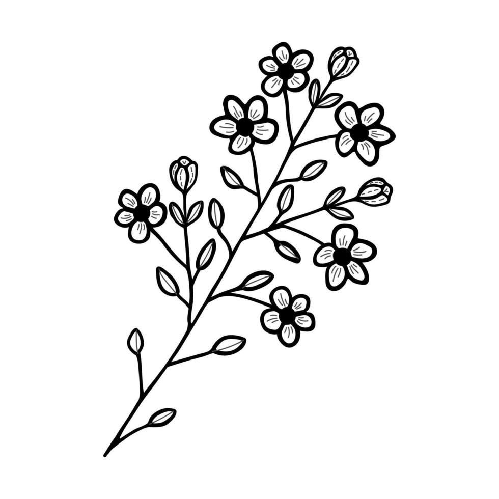 mão desenhado flor e galhos doodle. Preto e branco vetor ilustração esboço. eps10