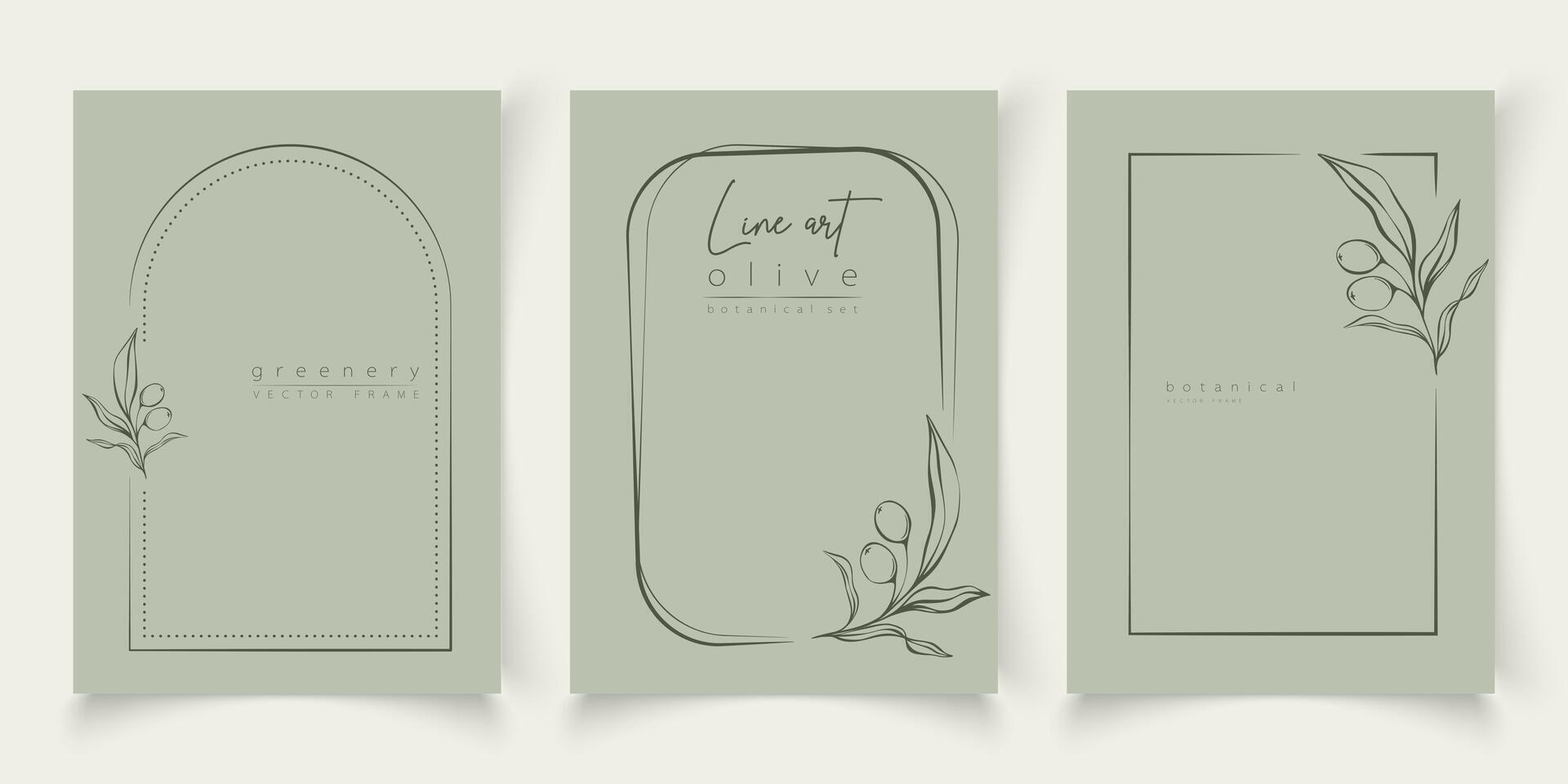 botânico linha arte ilustração conjunto do Oliva folhas, ramo quadros para Casamento convite e cartões, logotipo projeto, rede, social meios de comunicação e cartazes modelo. elegante mínimo estilo floral vetor isolado