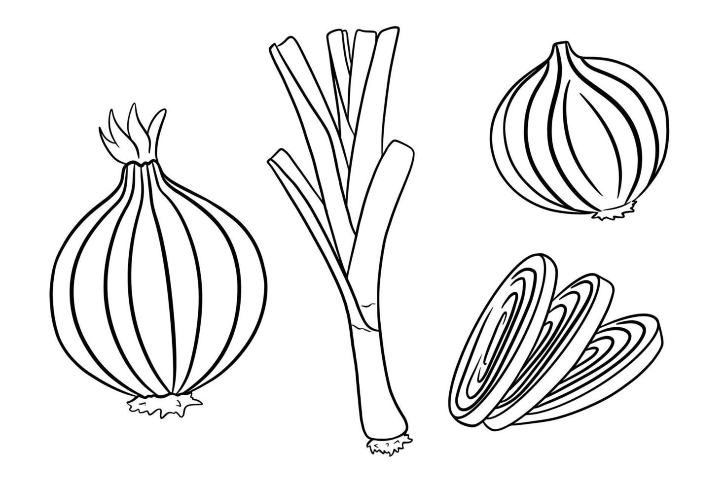 conjunto de arco. cebolas verdes frescas e cebolas inteiras e cortadas. vetor