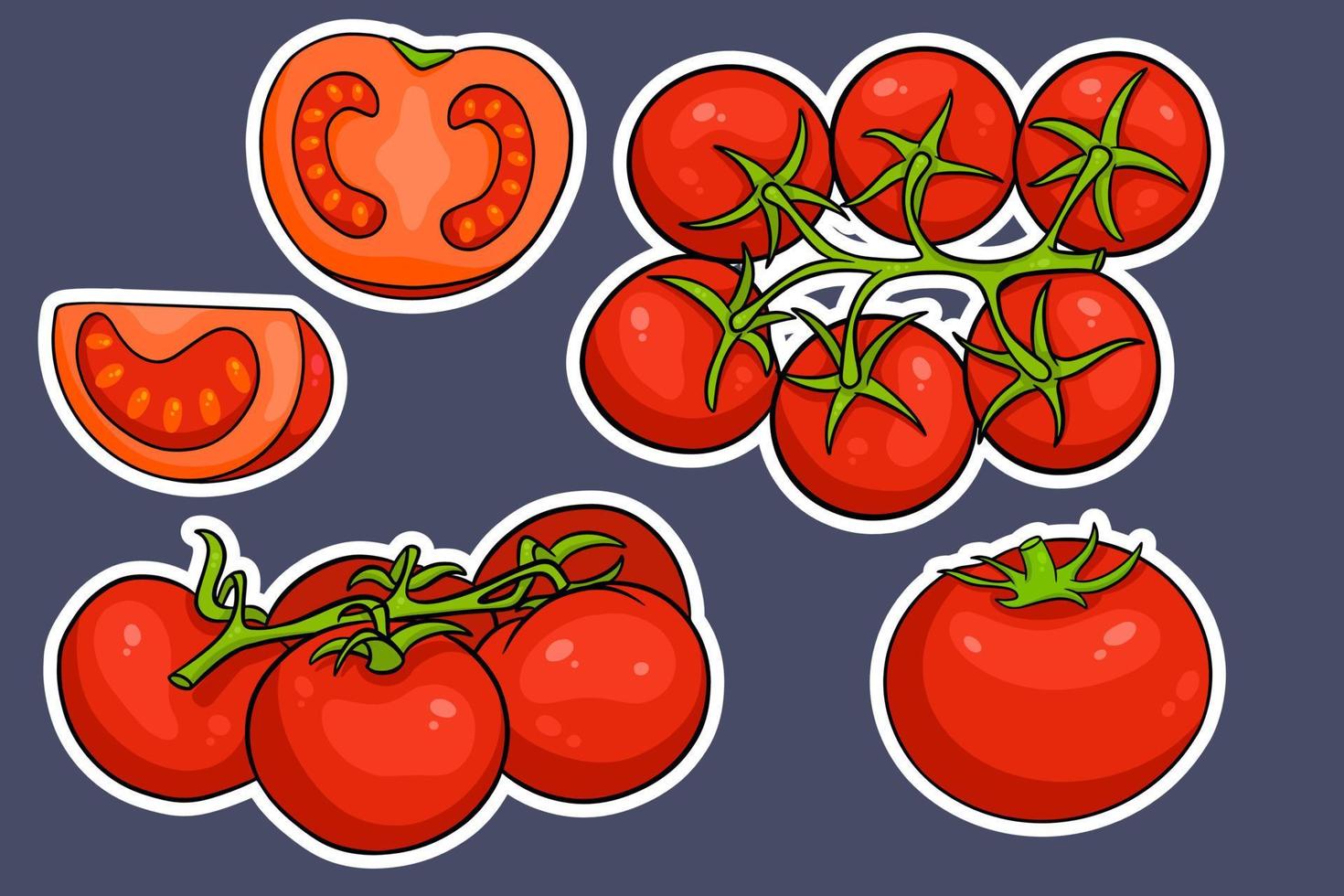 conjunto de tomates. tomates frescos, tomates em um galho, uma cunha e meia. vetor