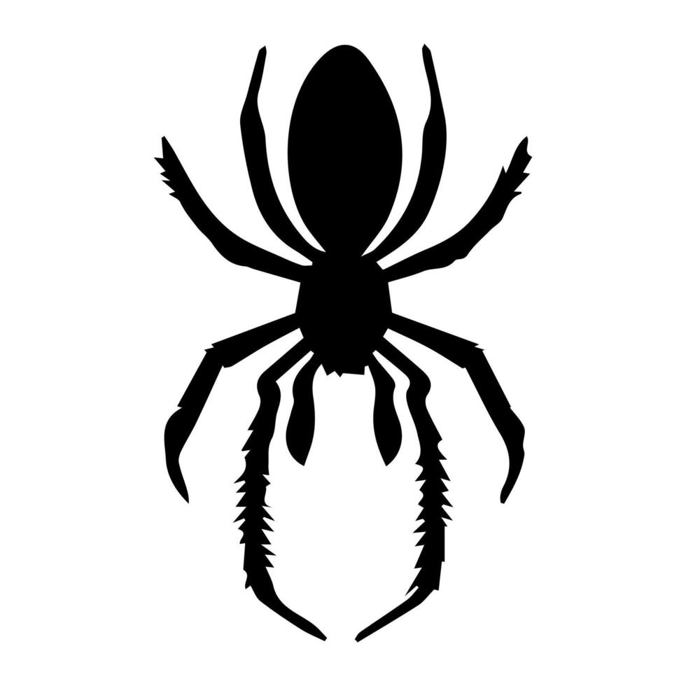 arte perigo aranha preto branco tatuagem elemento vetor modelo animal