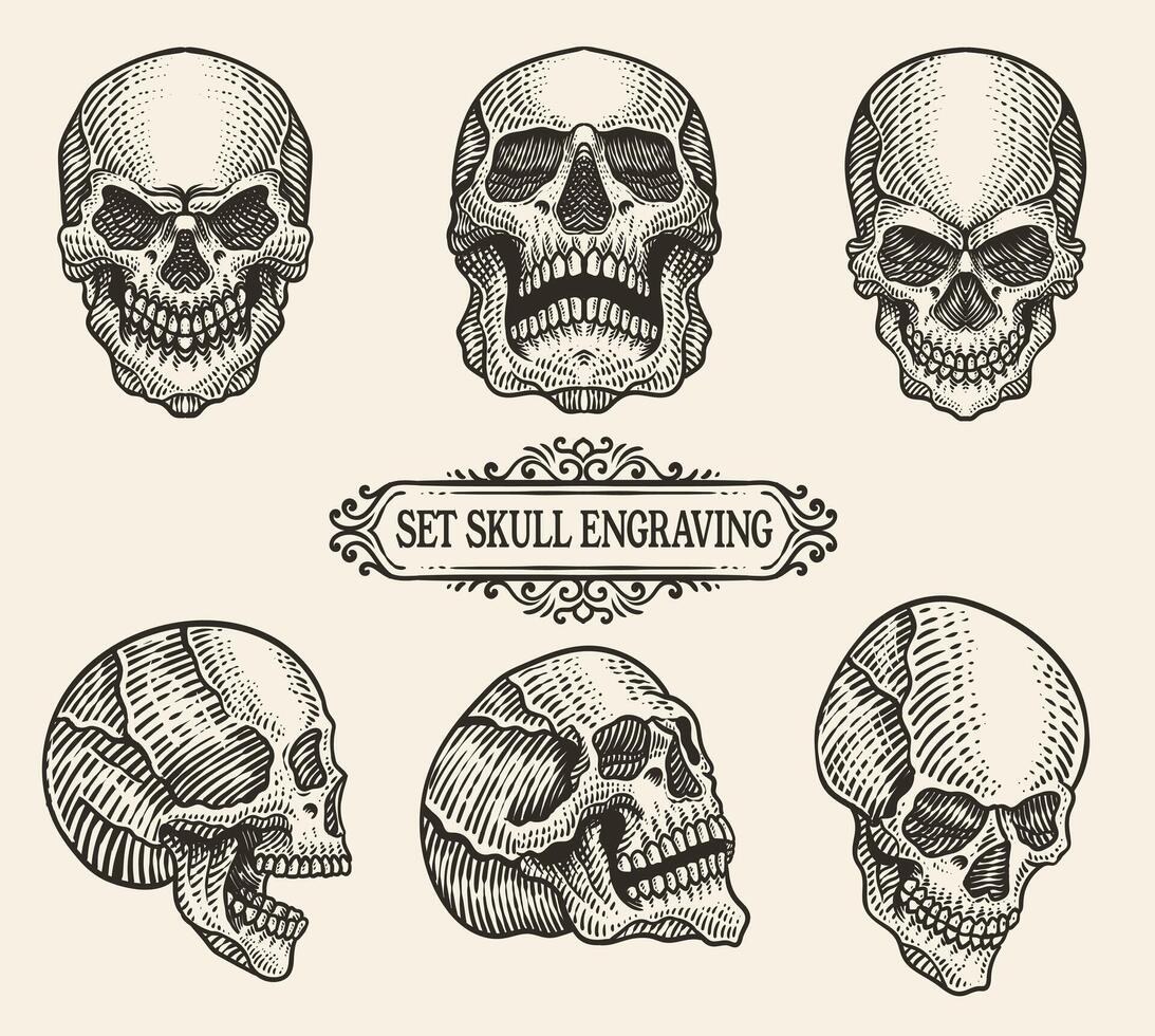 conjunto ilustração crânio cabeça com gravação mão desenhado estilo. vetor