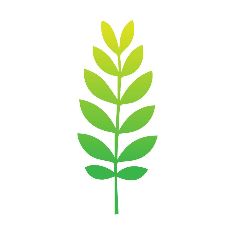 verde folha ícone. folhas ícone em isolado fundo. coleção verde folha. elementos Projeto para natural, eco, vegano, bio rótulos. vetor ilustração