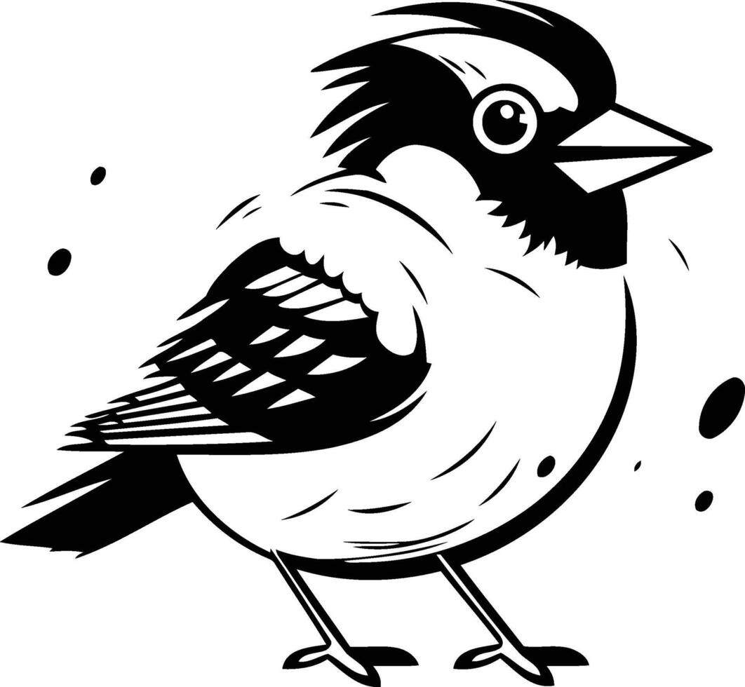 dom-fafe. vetor ilustração do uma pássaro em uma branco fundo.