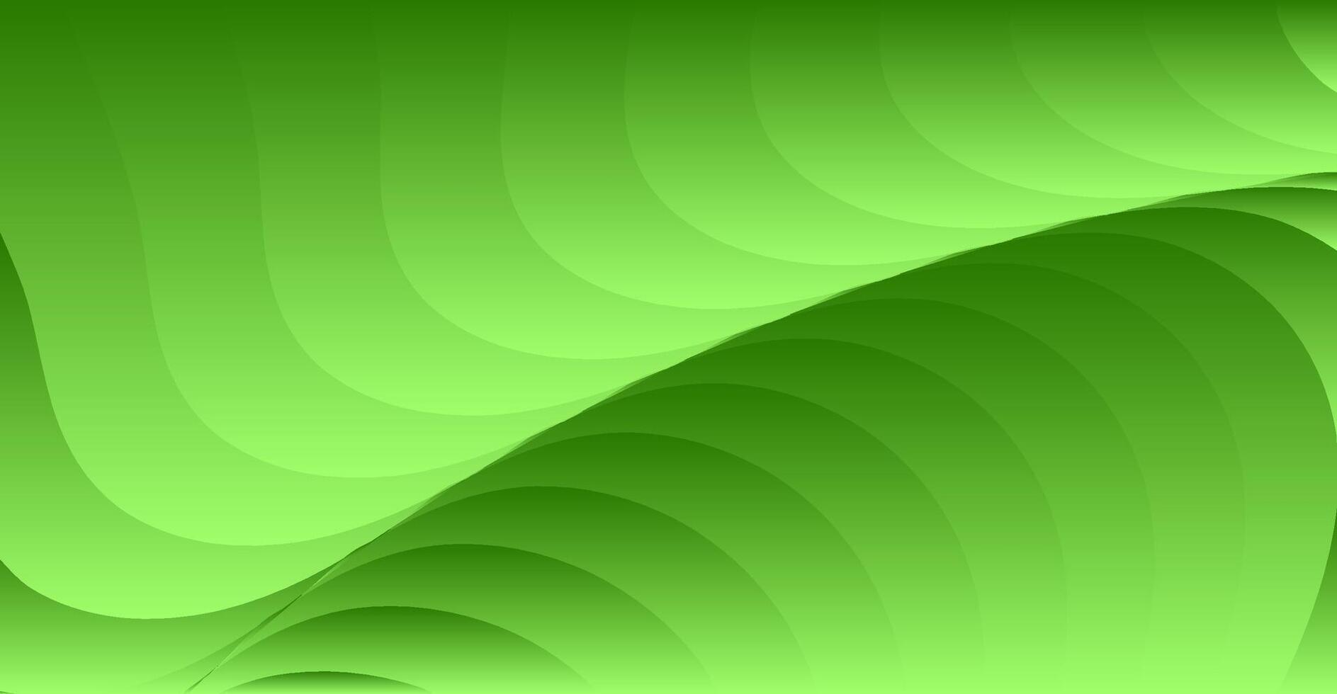 abstrato verde curva moderno fundo vetor