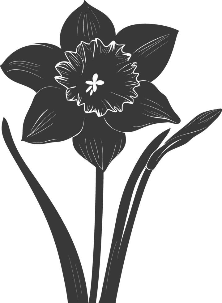 ai gerado silhueta narciso flor Preto cor só vetor