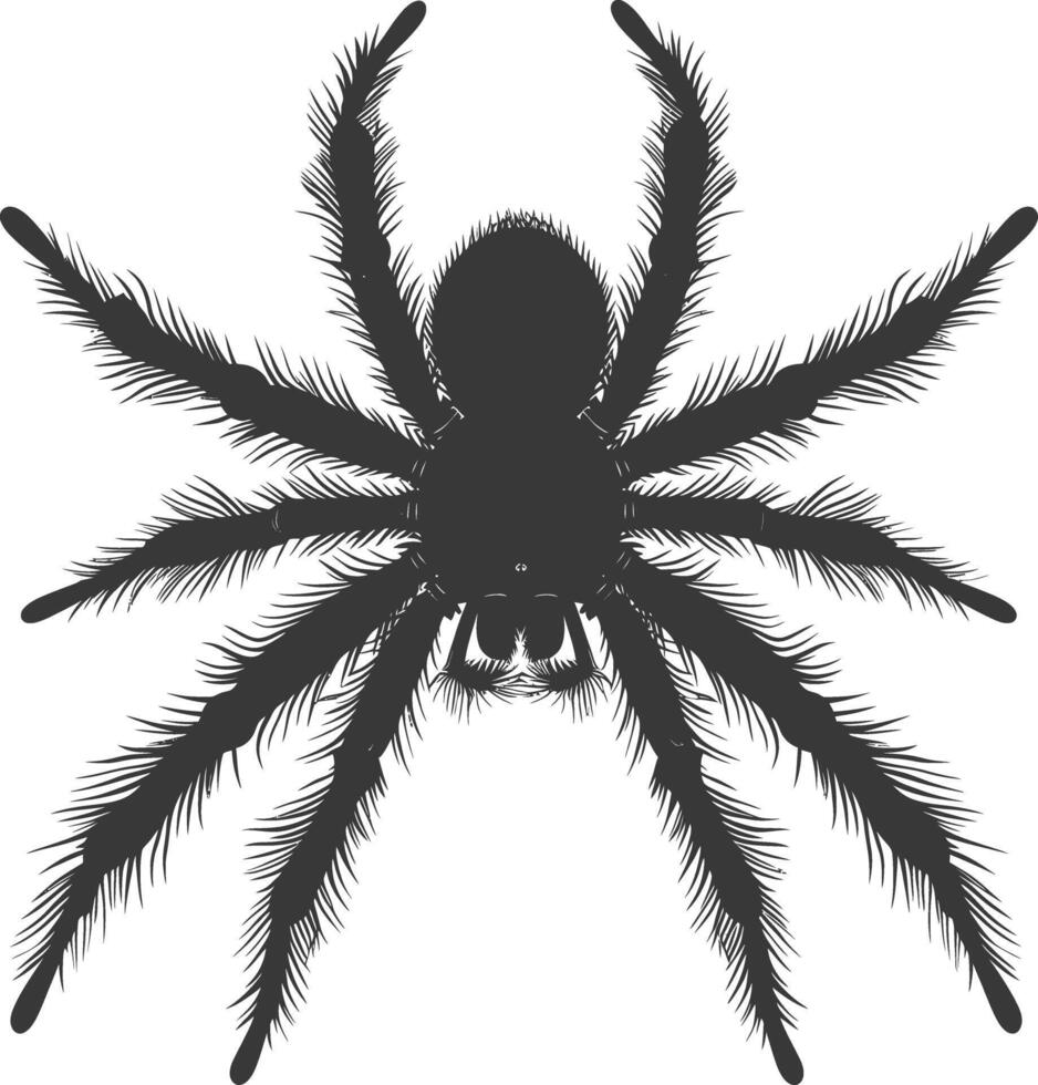 ai gerado silhueta aranha animal Preto cor só vetor