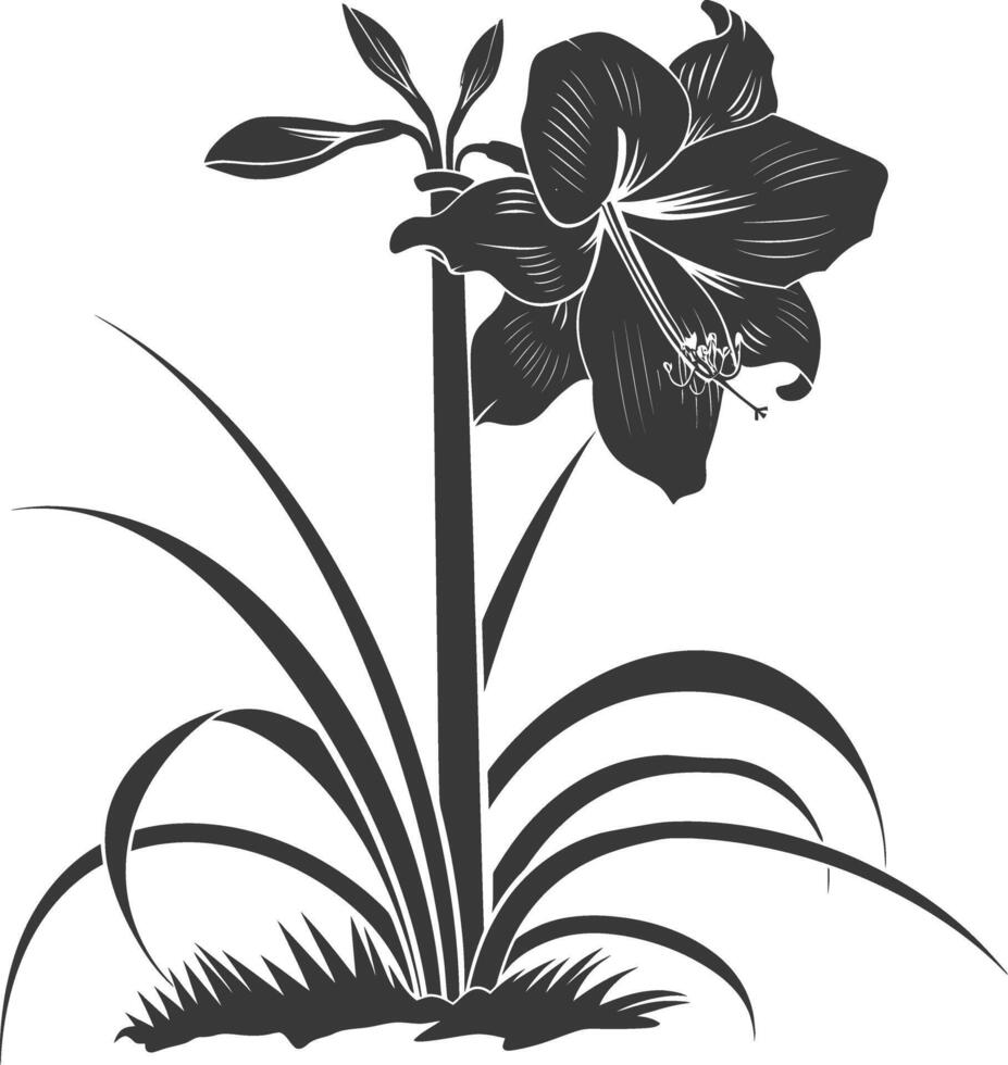ai gerado silhueta amaryllis flor dentro a terra Preto cor só vetor