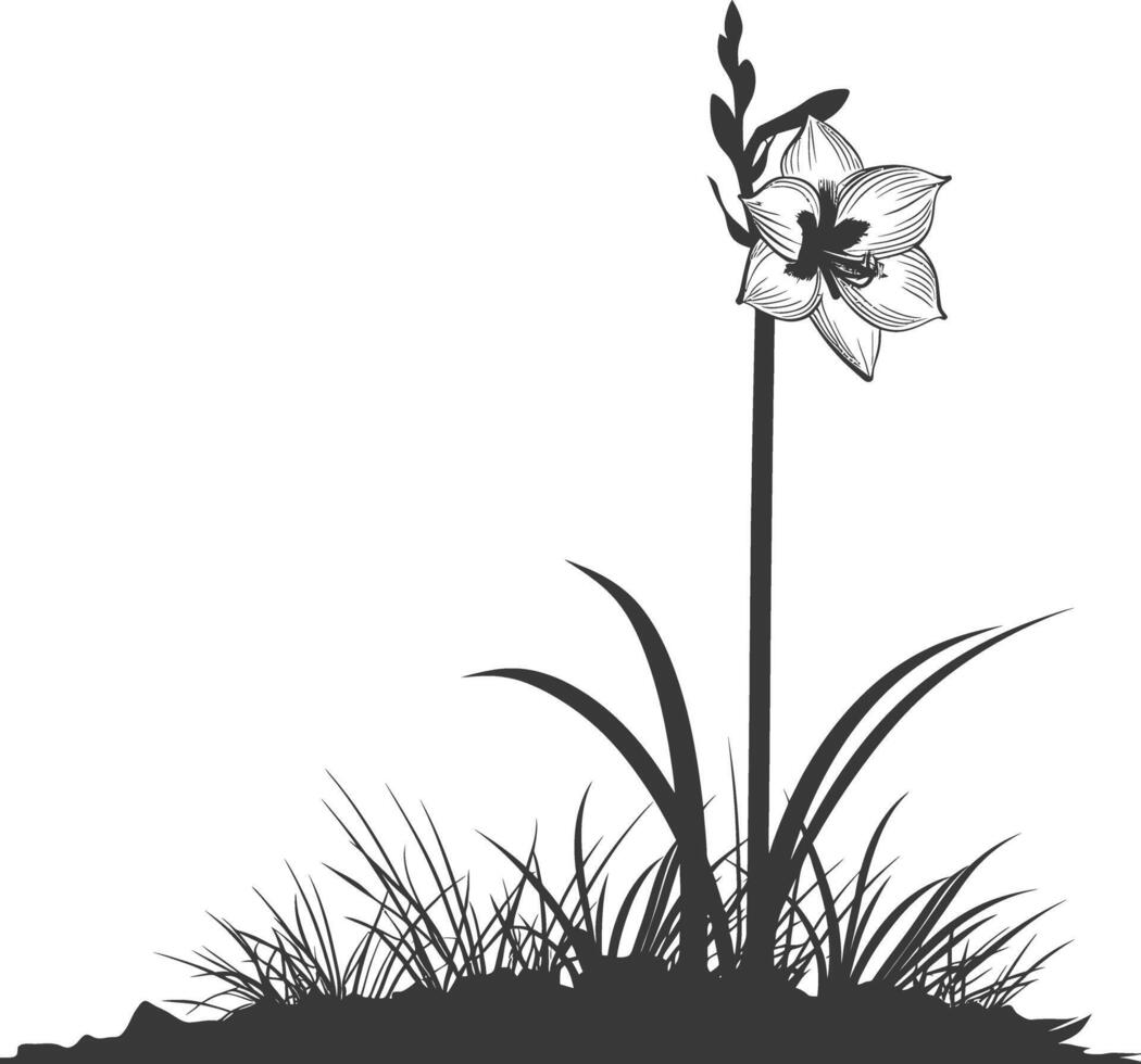 ai gerado silhueta amaryllis flor dentro a terra Preto cor só vetor