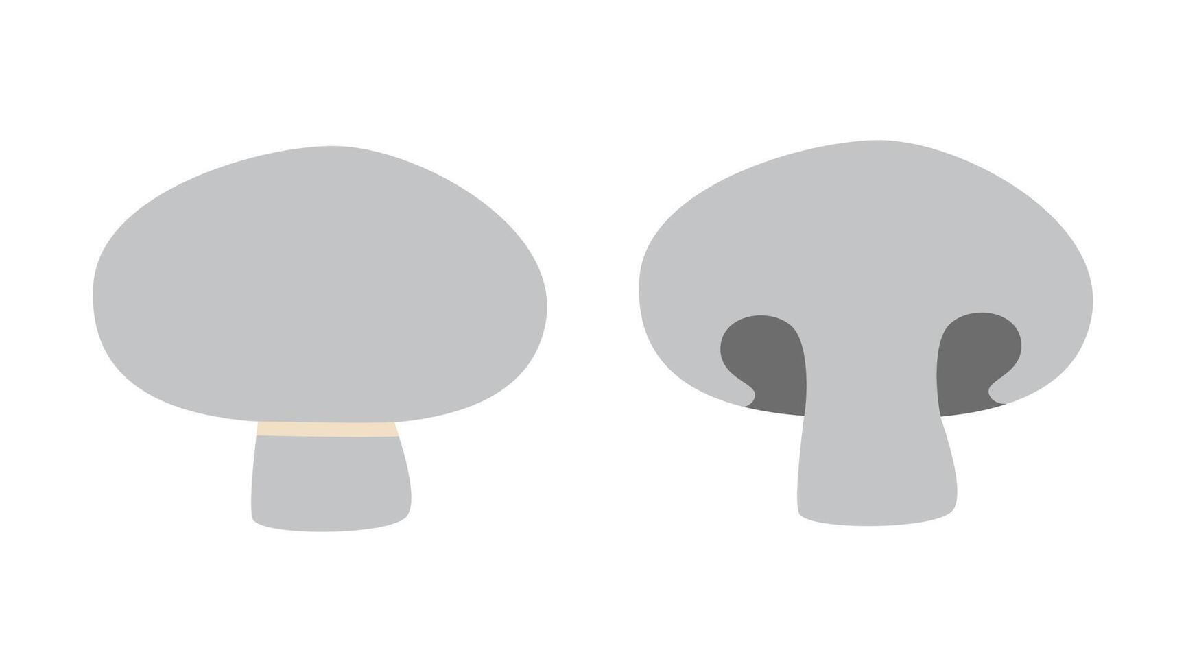 cogumelo cogumelos, todo e metade desenho animado estilo. vetor ilustração isolado em branco fundo, mão retirou, plano Projeto
