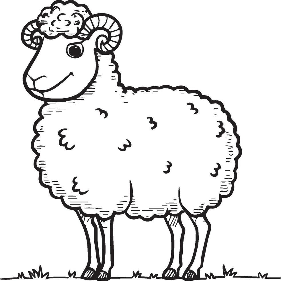 ovelha coloração Páginas. ovelha esboço vetor