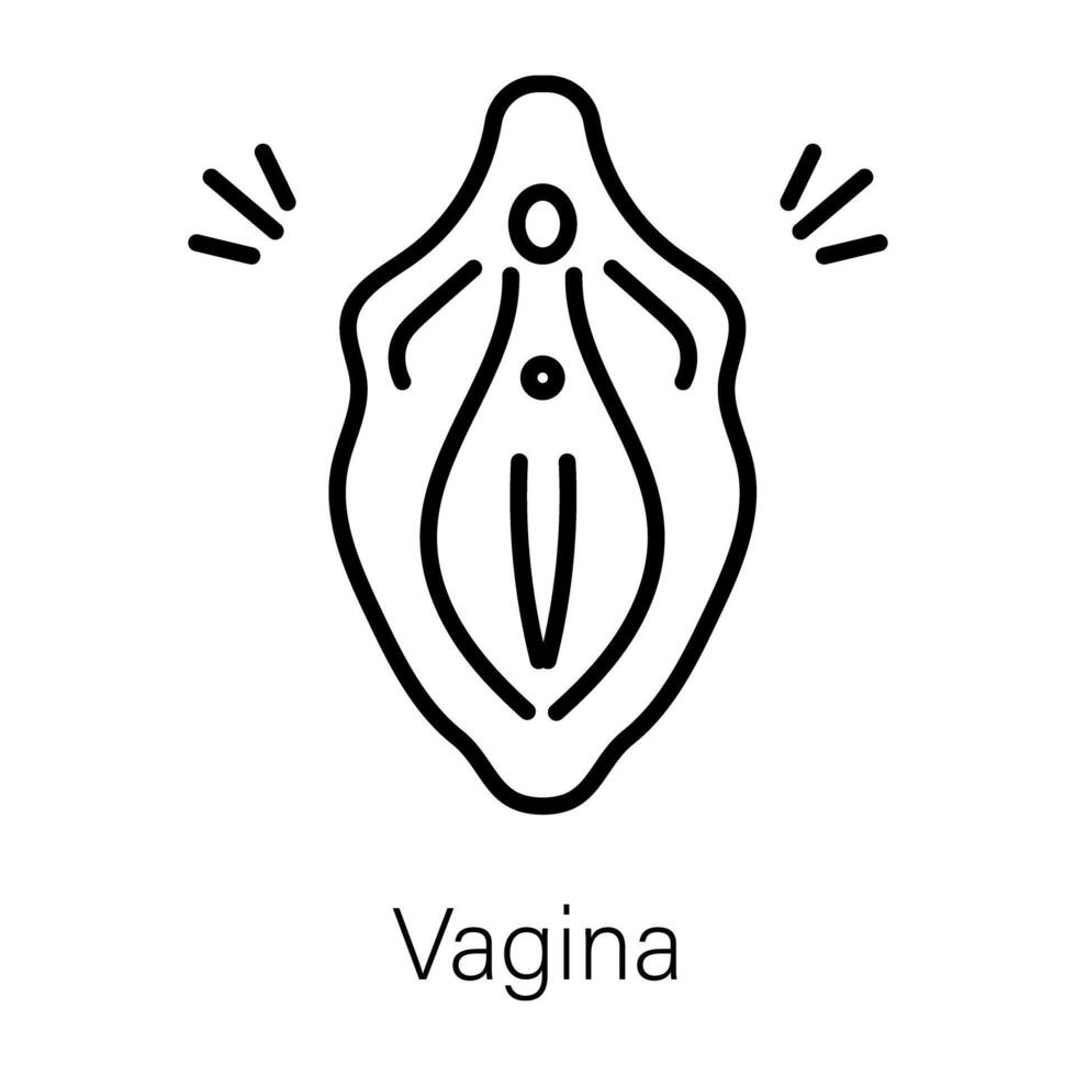 na moda vagina conceitos vetor