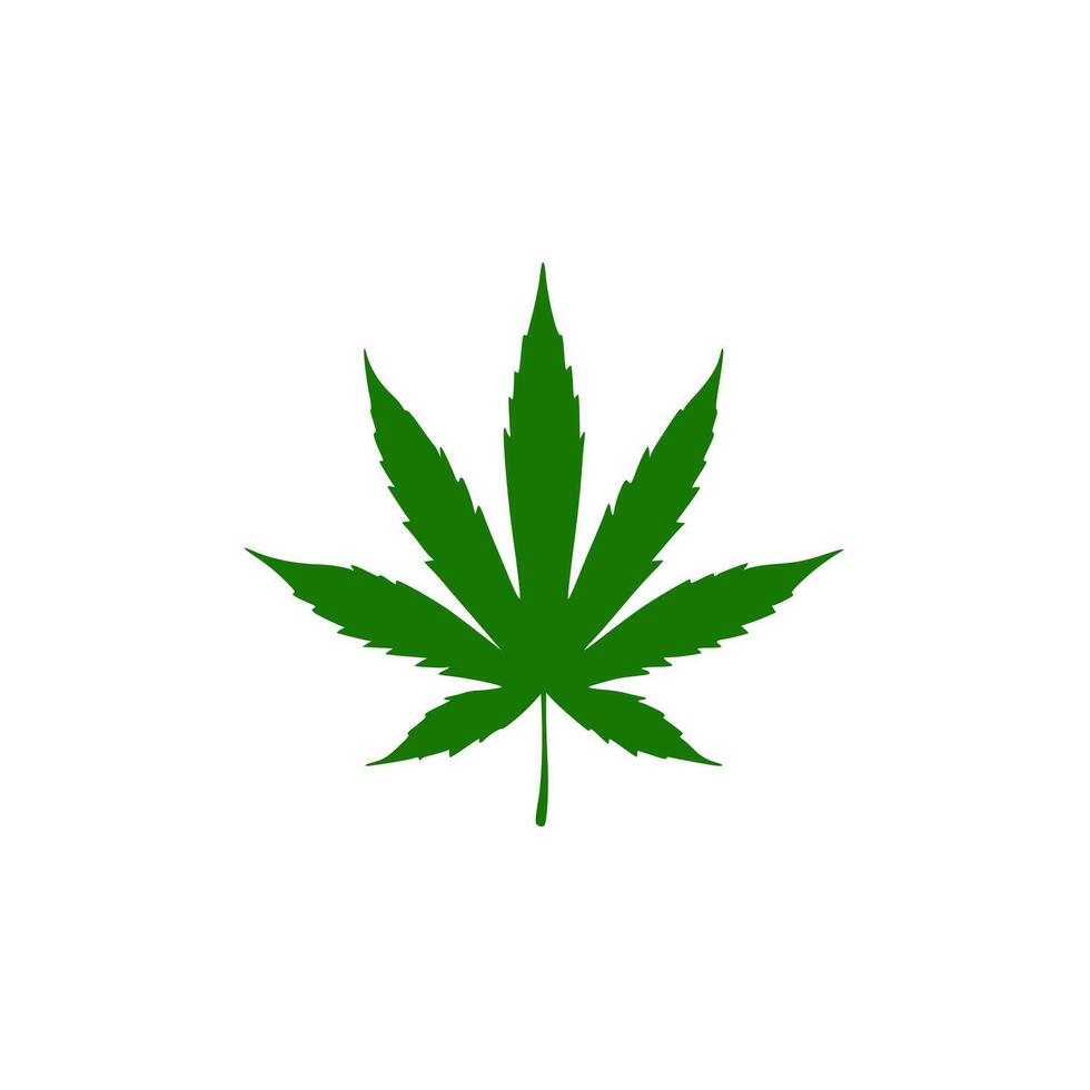 uma cannabis folha em uma branco superfície. vetor