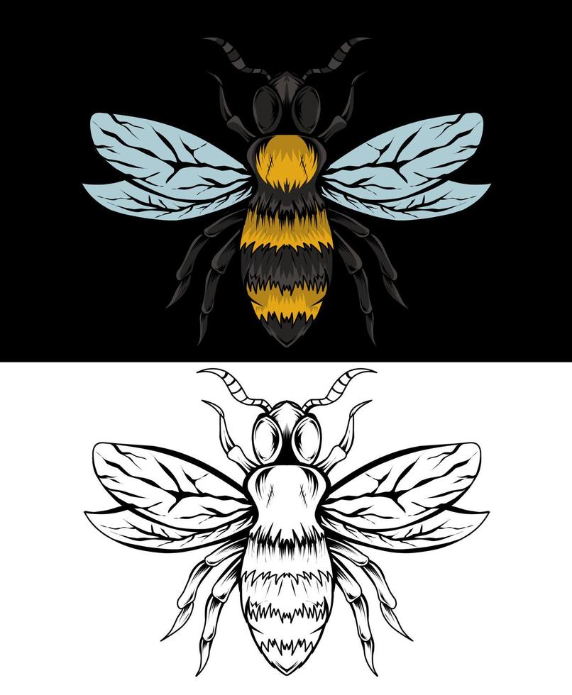 ilustração vetorial inseto abelha com cores e preto e branco vetor