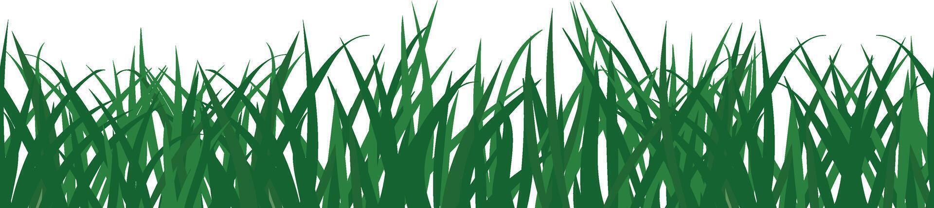 gramíneo campo, desenho animado verde Relva dentro desatado fronteira ou listra uma vetor