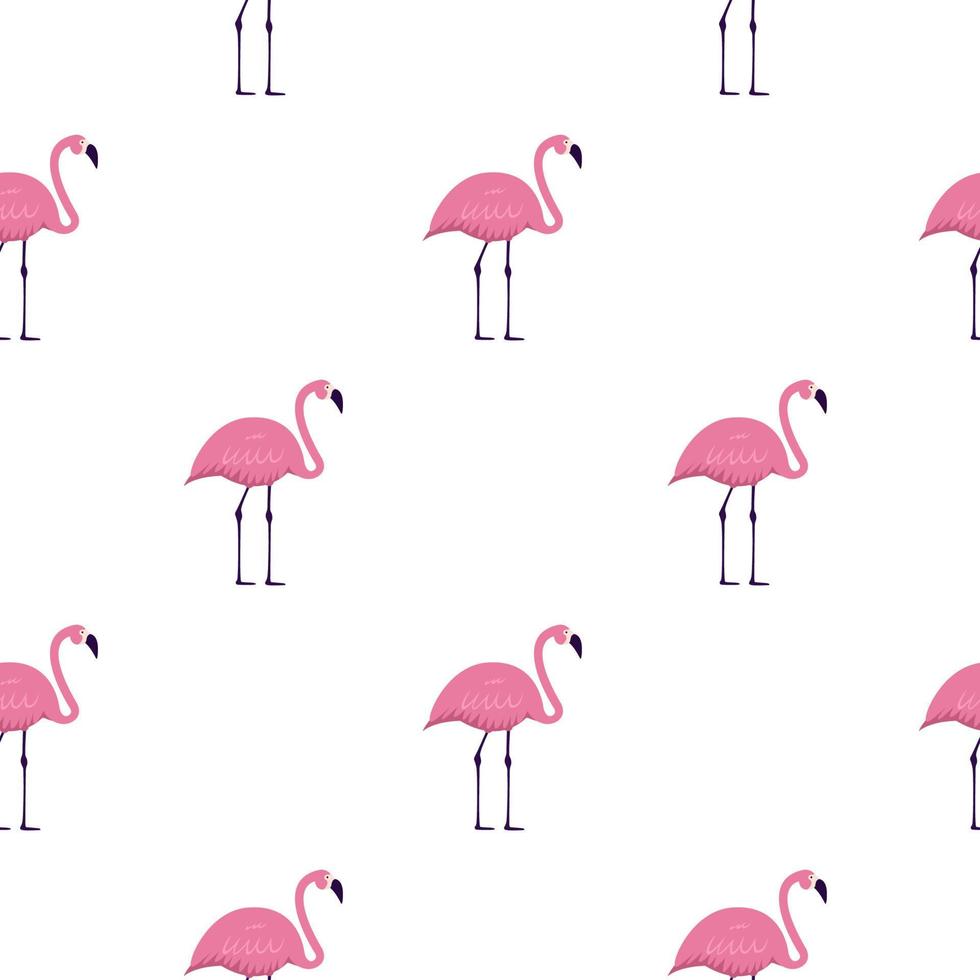 flamingo rosa sem costura de fundo. ilustração vetorial vetor