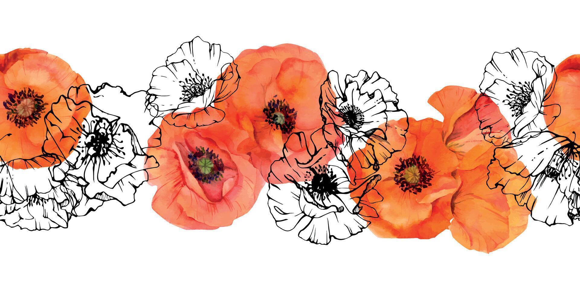 mão desenhado aguarela botânico ilustração flores folhas. vermelho papoula papaver, hastes brotos vagens. desatado bandeira isolado branco fundo. Projeto casamento, amor cartões, lembrança dia papelaria vetor