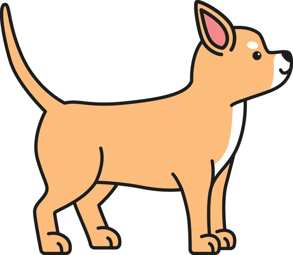 fofa chihuahua cachorro vetor ilustração