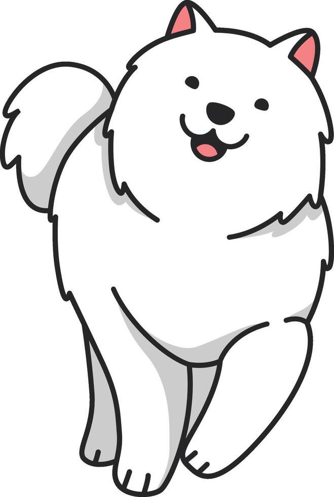 fofa samoiedo cachorro desenho animado ilustração vetor