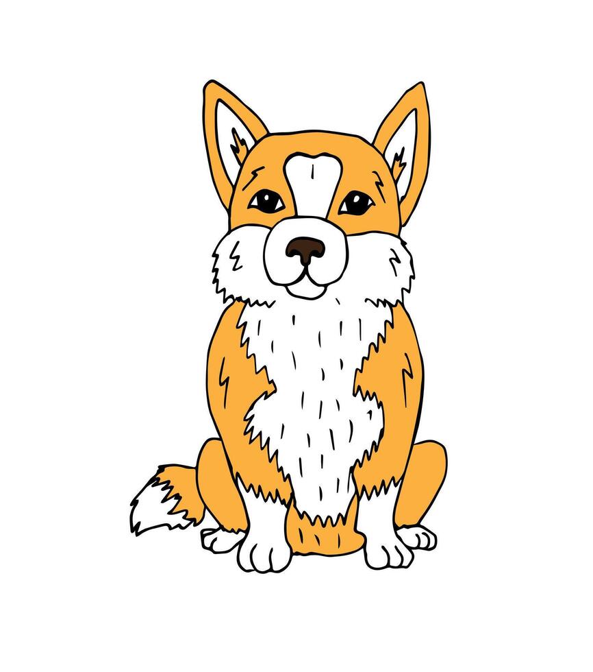 vetor mão desenhado rabisco esboço corgi cachorro